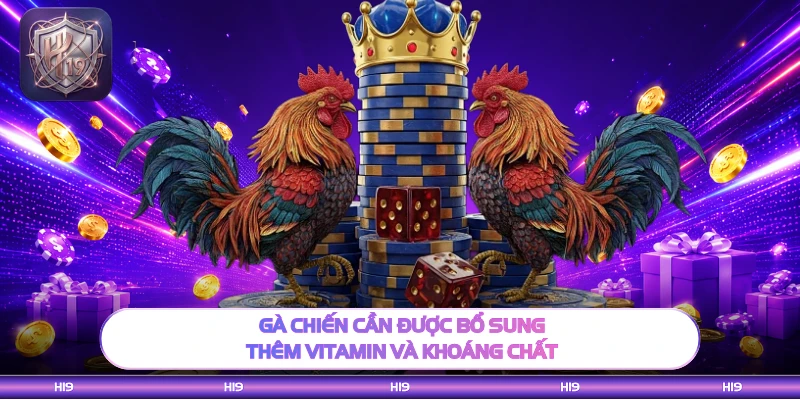 Gà chiến cần được bổ sung thêm vitamin và khoáng chất