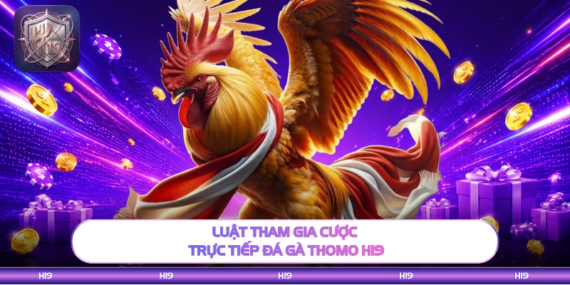 Luật tham gia cược trực tiếp đá gà thomo H19